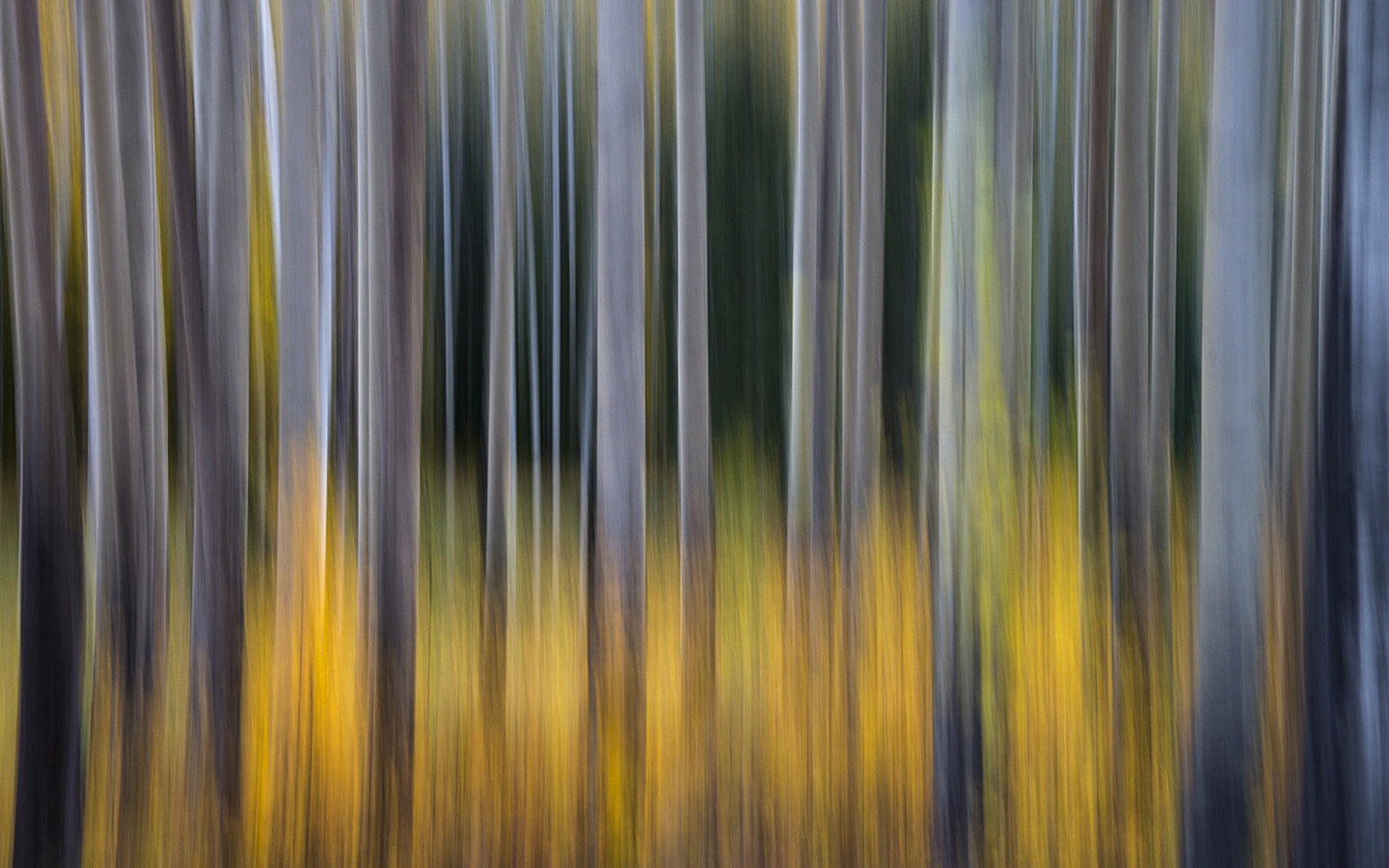 _DSC3443_1440