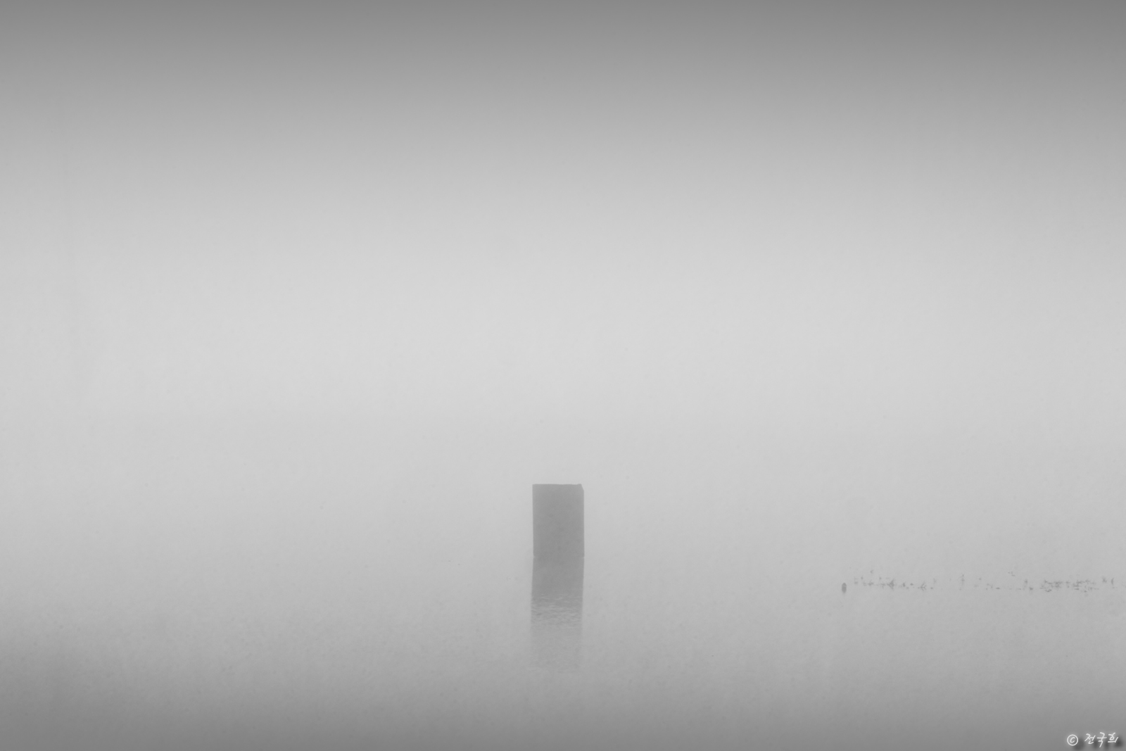 _DSC5136_1600