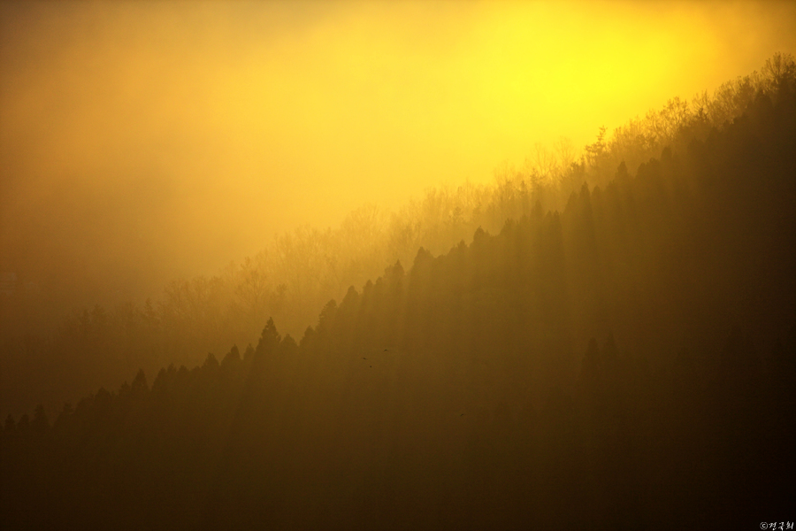 cookee_018[1]