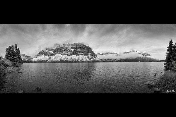 Bow Lake Panorama